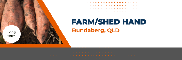 Farm/Shed Hand | Bundaberg Position
